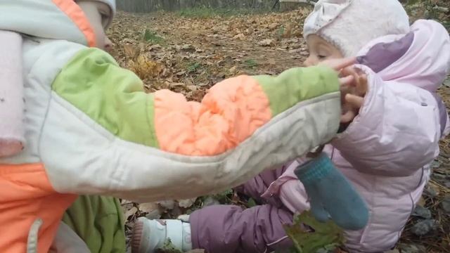 Как грибы в Графской собирали... смотреть онлайн