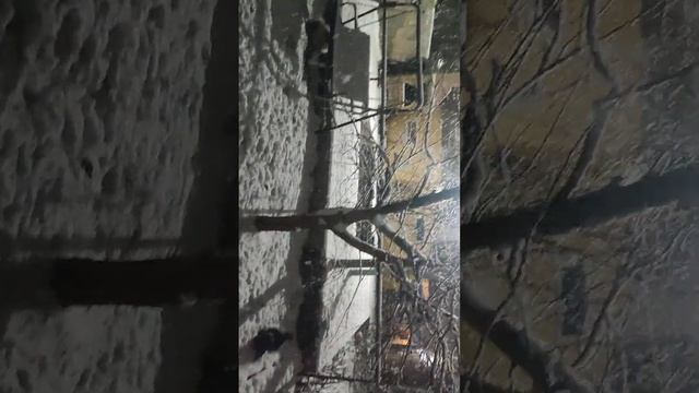 Снег в Крыму в Евпатории🤗Ну супер.Чудесно. смотреть онлайн
