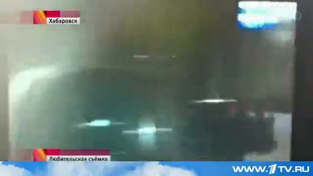 В Хабаровске полиция полтора часа по всему городу ловила дикого медведя смотреть онлайн