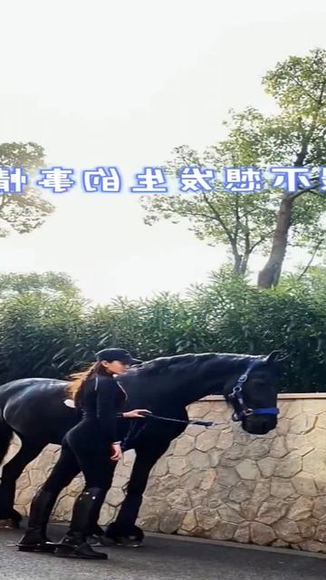 My Sister Training horse,Care horse , give food horse eating смотреть онлайн