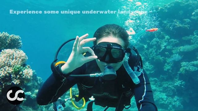 Tenerife Scuba Diving: Discover the Amazing Underwater World with Departure from Los Cristianos смотреть онлайн