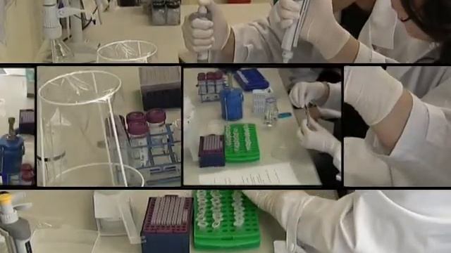 DNA Barcoding of the North Sea Zooplankton (Senckenberg, WCMB 2011) смотреть онлайн
