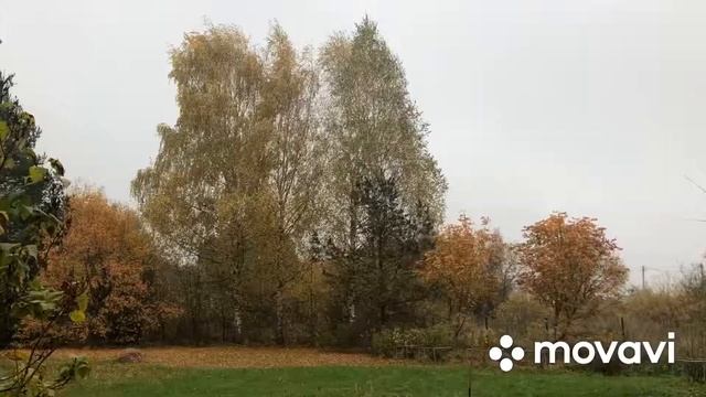Утро в деревне 😊 смотреть онлайн
