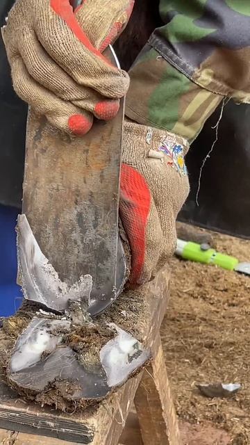 Great hoof trimming video extremely comfortable丨ASMR丨Donkey hoof cutting sound смотреть онлайн