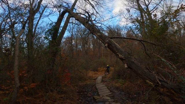 That's Janky! | Dorlan Mill Ridge Trail, Marsh Creek State Park | Ibis Ripmo V2 смотреть онлайн