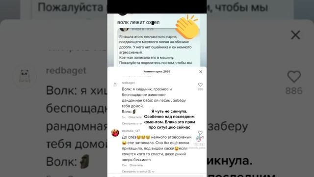 Шакала принесла домой 🙈 смотреть онлайн