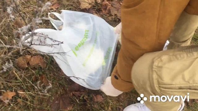 Белорусский живодер закопал кота. Расплава,/жесть/захоронил/шок. смотреть онлайн