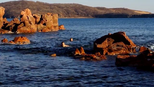 о.Русский. 22 ноября 2014 года.