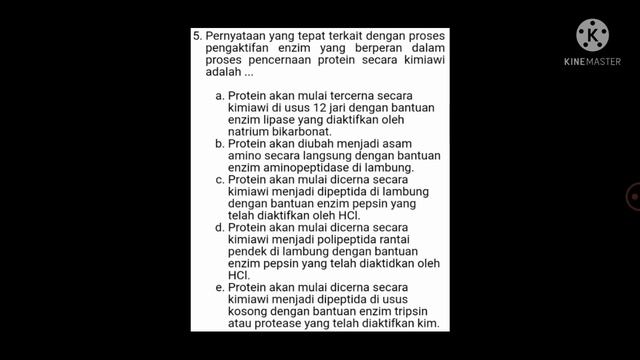 SOAL KOMPETENSI TEKNIS GURU BIOLOGI part A смотреть онлайн