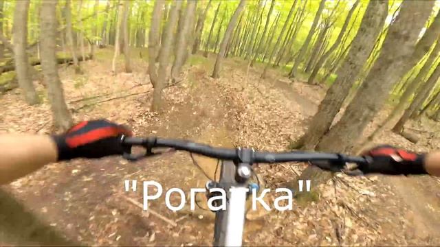 Трейл Валежный | Тестирование нового элемента | Besed Bike смотреть онлайн