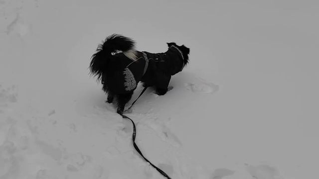Настоящая зима смотреть онлайн