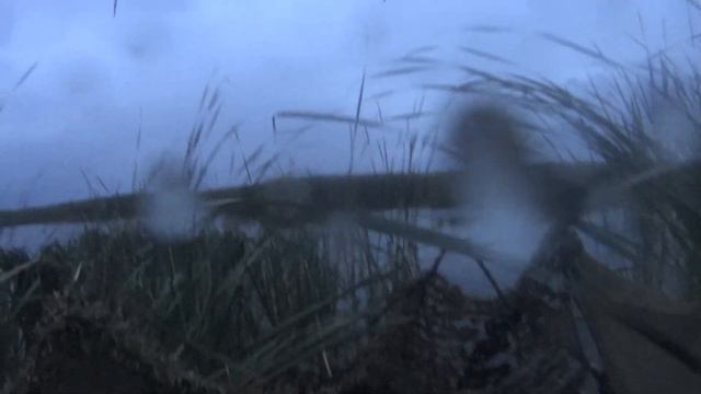 Охота на утку 2019 смотреть онлайн