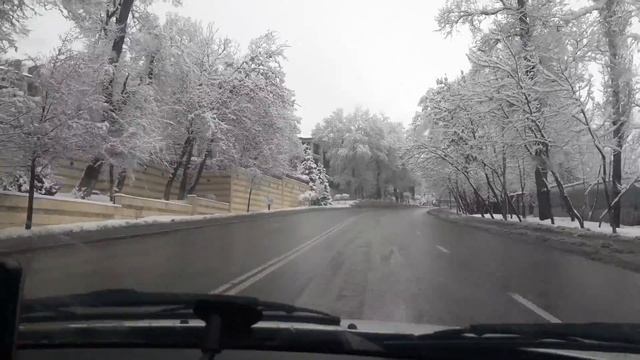 Алматы, Вверх по Ленина (Достык) снег еще лежит на деревьях, в городе стаял Красота!! 5 03 2021 смотреть онлайн