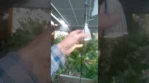 Солнечная панель бесплатно свет халява 100%