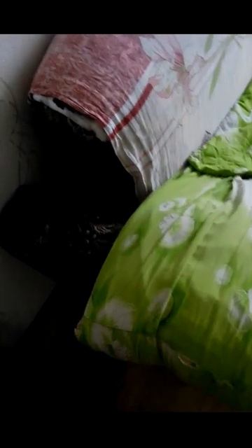 "Прикол про КОТА" Ты кто? Это мой дом.. Свалил :D смотреть онлайн