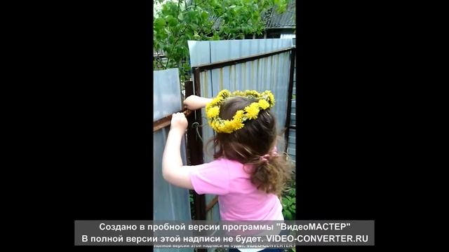 VID 20150517 110142 смотреть онлайн
