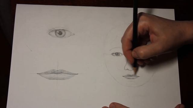 Пропорции и тон лица смотреть онлайн