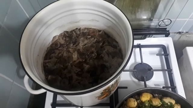 Муж-добытчик! Рыбки наловил, грибов насобирал! смотреть онлайн