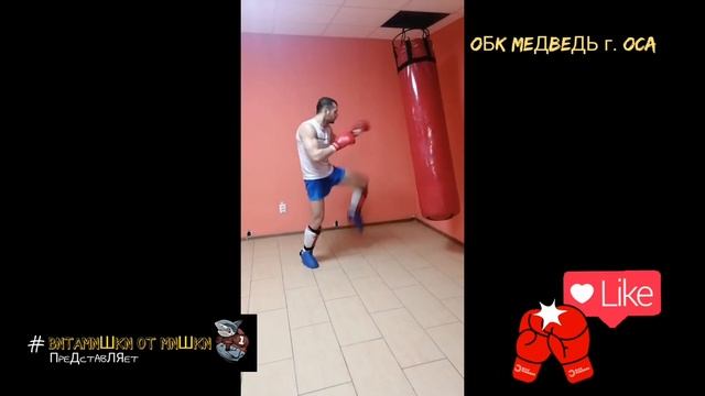 ОБК Медведь г Оса смотреть онлайн