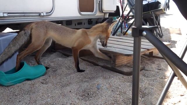 Василиса смотреть онлайн