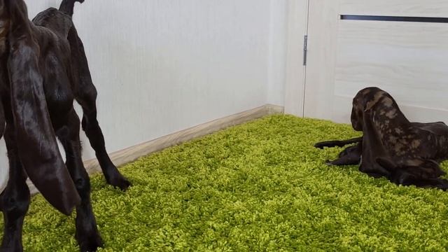 31 августа 2022 г. смотреть онлайн