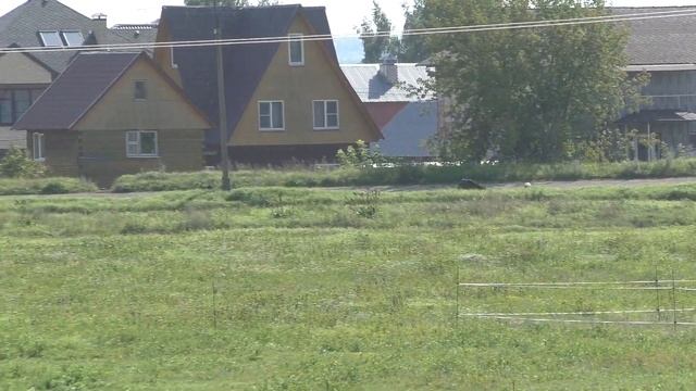 4 Раменский ипподром 24.08.2019 - ПРИЗ «СОРРЕНТО» смотреть онлайн