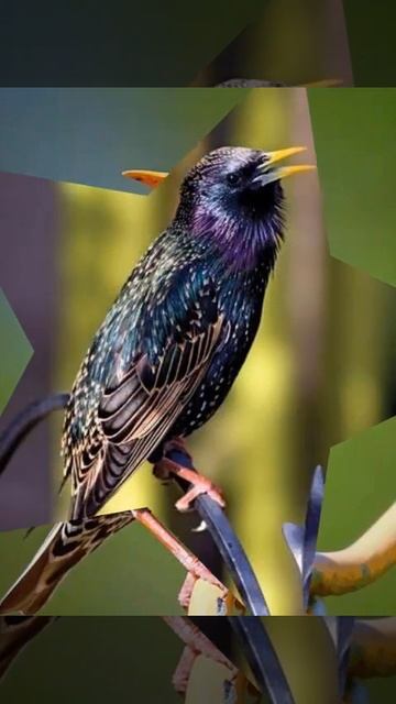 10 августа 2022 г. смотреть онлайн