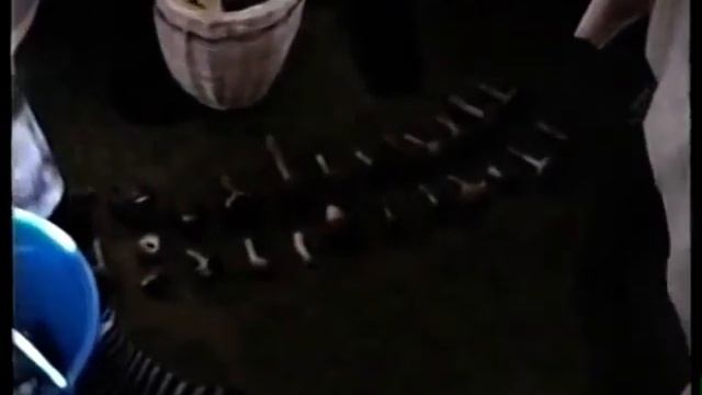 Как мы жили в СССР Грибы и Грибники в Старинном лесу смотреть онлайн