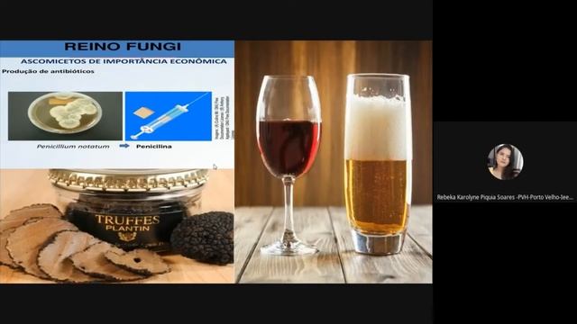 Reino fungi TEMA 4 2 A FUNGOS смотреть онлайн