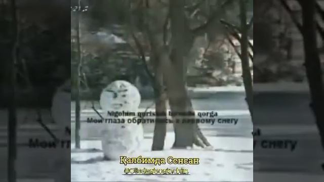 21 ноября 2022 г.