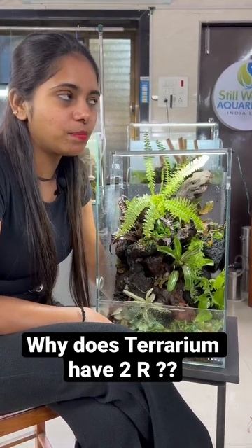 English is a funny language | Why does terrarium has two ‘r’?? смотреть онлайн
