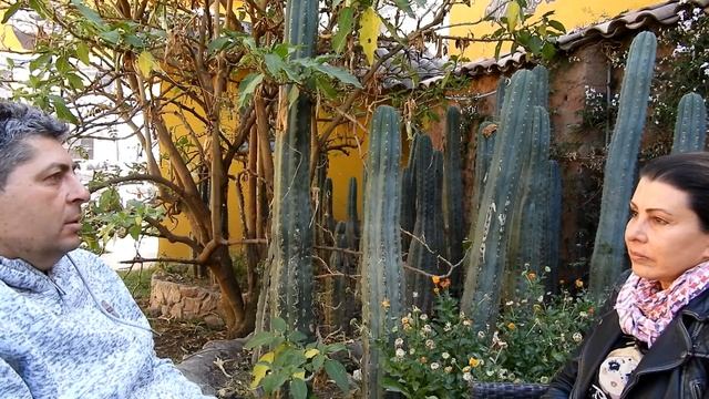 Ep. 42 From Brazilian Rainforest to the Peruvian Andes in Search of Huachuma Blessing смотреть онлайн