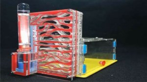 муравьиная ферма купить с муравьями в комплекте алиэкспресс