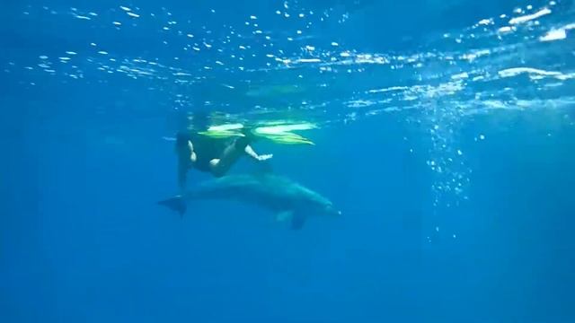 P3050574 смотреть онлайн