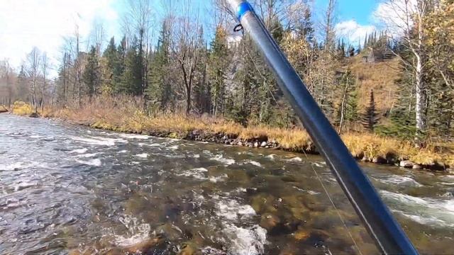 Grayling fishing in autumn with a float rod.Celestial teeth смотреть онлайн