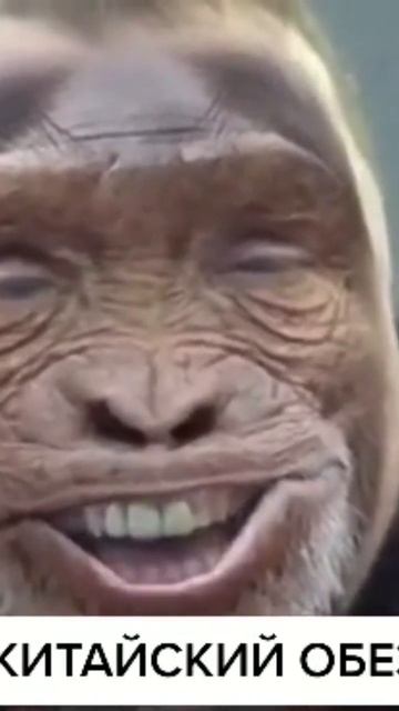 #shorts#китайский обезьян#приколы смотреть онлайн