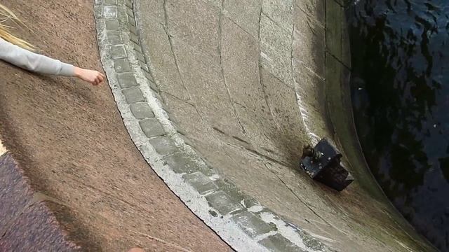Imagen del pájaro Chízhik-Pízhik en San Petersburgo, con monedas en su base. смотреть онлайн