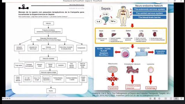 DISCUSIÓN DE CASOS CLÍNICOS - INFECTOLOGÍA смотреть онлайн