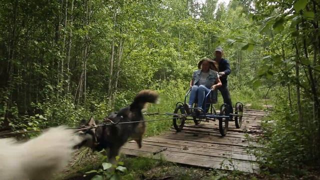 летнее катание в питомниек ЭЛЬБРУС смотреть онлайн