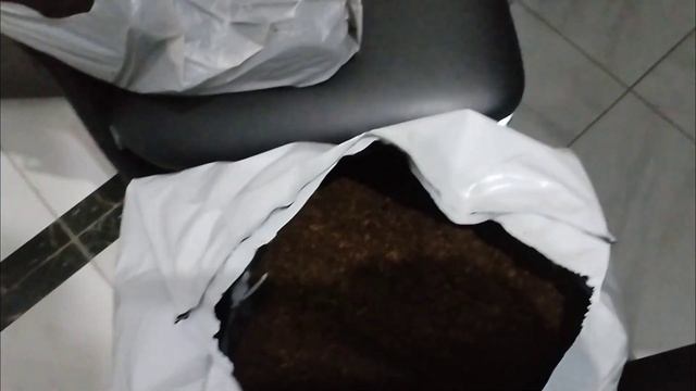 100% укоренение черенков винограда в Беларуси!!! смотреть онлайн