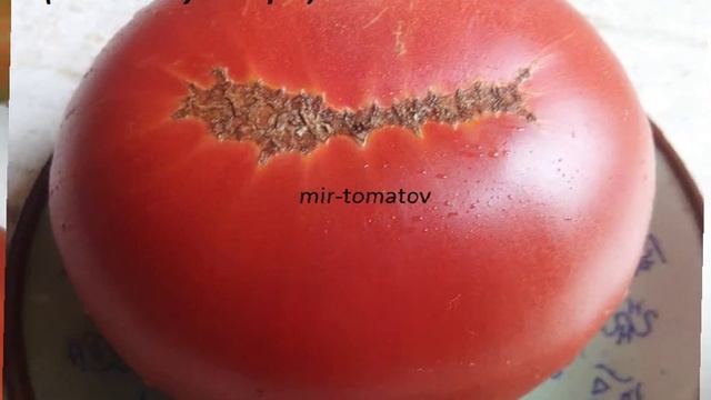 ХИТЫ 2019 2020 года! часть 6 смотреть онлайн