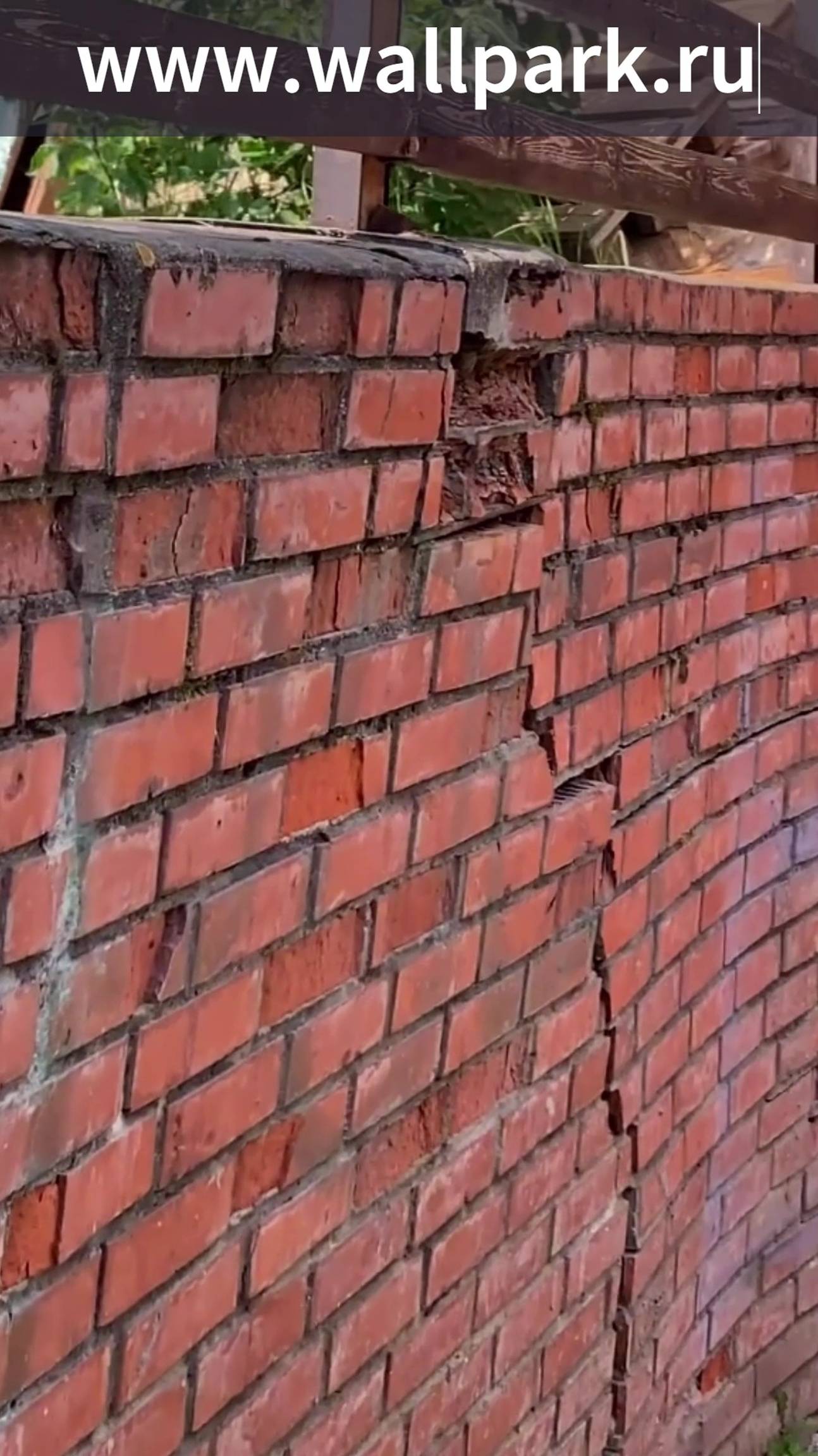 Если ваша стена развалилась? Подпорная стена за 3 дня своими руками. смотреть онлайн