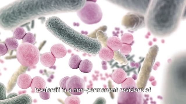 5 Incredible Benefits of Saccharomyces Boulardii смотреть онлайн