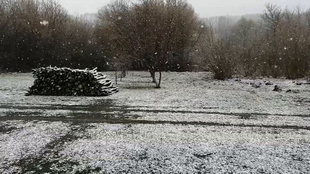 Снег на Беженке в конце апреля.