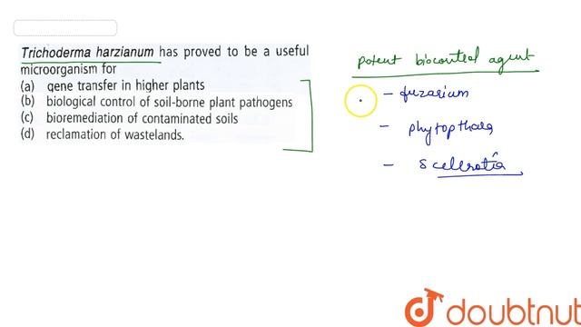 Trichoderma Harizianum Has Proved To Be A Useful Microorganism For