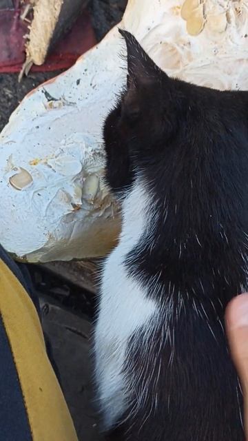Сижу Печку Топлю и мухи не кусают смотреть онлайн