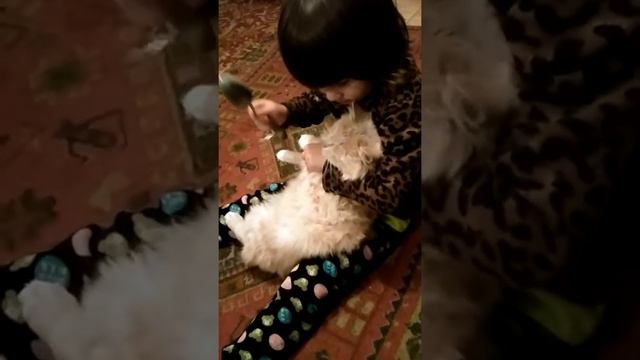 Девочка учит кота "Кто там" смотреть онлайн