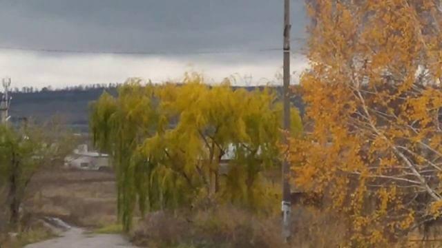 Кролик в сундуке🐇Опять грибы и 🍎яблоки🍏