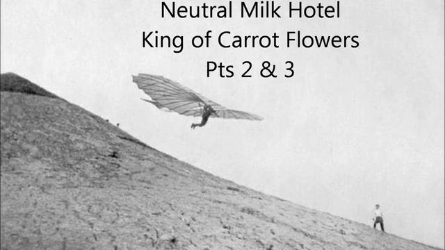 Neutral Milk Hotel King Carrot Flowers Pts 2 & 3 смотреть онлайн