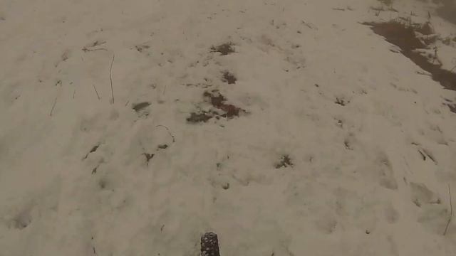 Downhill, snow crazy powder day Nize pole смотреть онлайн